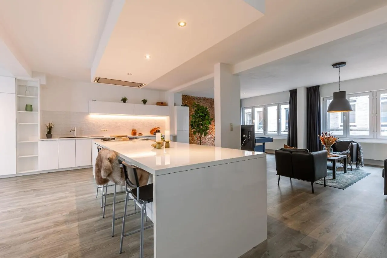 Modern And Spacious Apartment In Antwerpen For 4 Bedrooms 0*, Antwerp